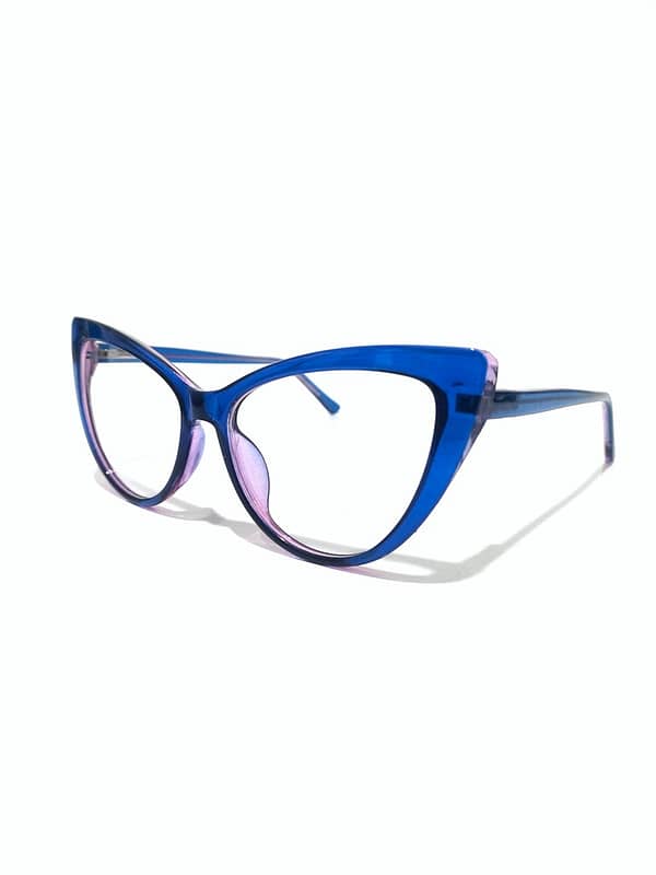 Eyeglass Frame 1613